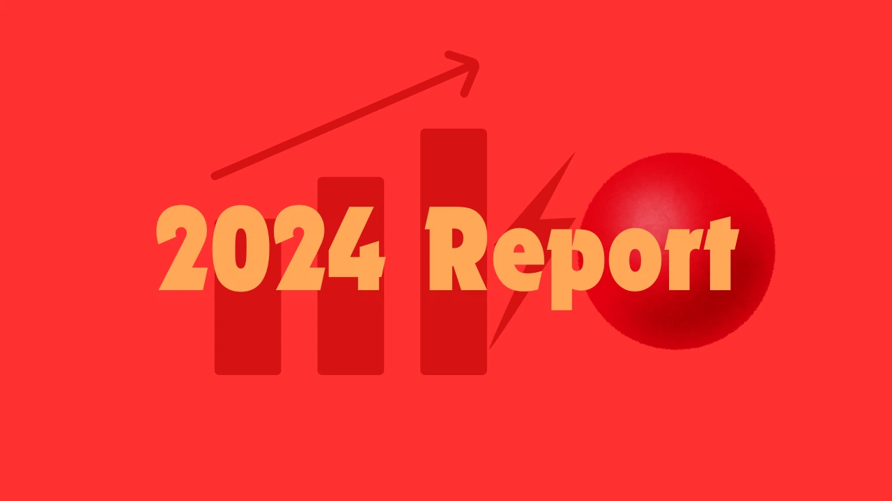 Annual Impact Report for Year 2024